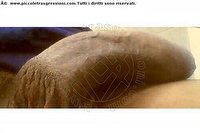 Foto selfie hot trans escort Lucrezia Hikman Prato 3512944990