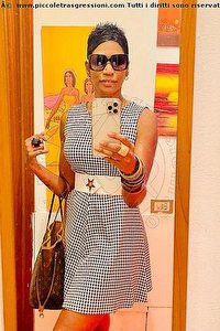 Foto selfie escort Ale Gold Bassano Del Grappa 3282616337