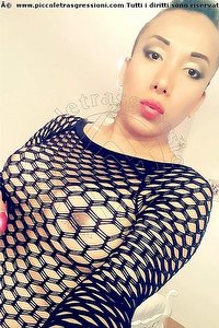 Foto selfie trans escort Cinzia Fuoco Chioggia 3274016206