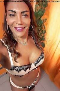Foto selfie trans escort Sandra Vip Perugia 3270160026
