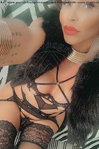 Foto selfie trans escort Valeria Treviso 3388718849