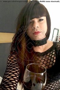 Foto selfie trav escort Roberta Paradiso Bologna 3206855252