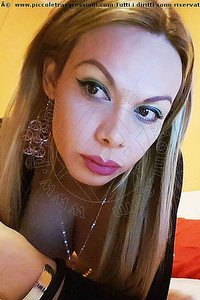 Foto selfie trans escort Brandy Tx Legnano 3883860479