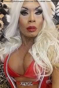 Foto selfie trans escort Naomi Angel Genova 3491282938