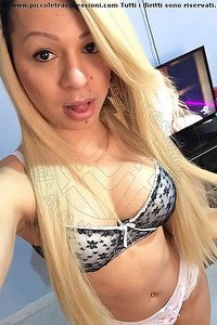 Foto selfie trans escort Shannon Porto Sant'elpidio 3532044771