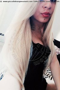 Foto selfie trans escort Shannon Porto Sant'elpidio 3532044771