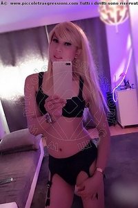 Foto selfie trans escort Anina Lohan Stoccarda 004915233966127