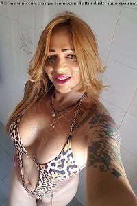 Foto selfie trans escort Paola Alessandria 3467304393