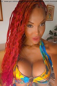 Foto selfie trans Wanessa Armani Cattolica 3518069231