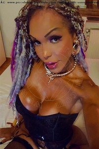 Foto selfie trans escort Wanessa Armani Cattolica 3518069231