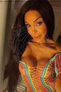 Foto selfie trans escort Wanessa Armani Cattolica 3518069231