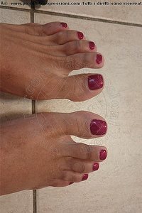 Foto selfie trans escort Wanessa Armani Bologna 3518069231