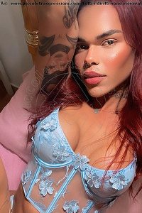 Foto selfie trans escort Amanda Angel Viareggio 3203250513