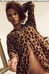 Foto selfie trav escort Maria Victoria Desenzano Del Garda 3294868614