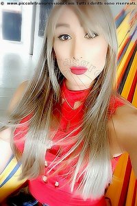 Foto selfie trans escort Daniela Holguin Bari 3314081639