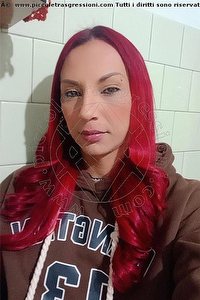 Foto selfie trans escort Danna D Gubbio 3509370653