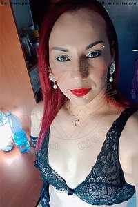 Foto selfie trans escort Danna D Gubbio 3509370653