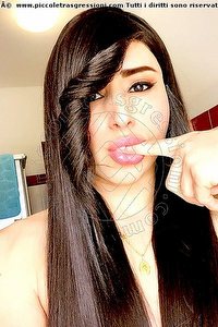 Foto selfie trav escort Paola Gorizia 3897858266