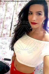 Foto selfie trans escort Ella Bassano Del Grappa 3477391436