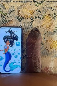 Foto selfie hot trans Bella Marques San Giorgio Di Nogaro 3445620488