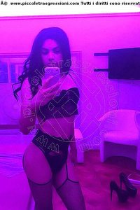 Foto selfie trav escort Alyce Desenzano Del Garda 3511848484