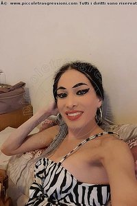 Foto selfie trans escort Vivyanna Cagliari 3405642502
