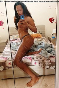 Foto selfie trans escort Pryscilla Roma 3791466730