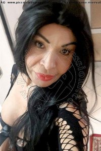 Foto selfie trans escort Tainá Oliveira Prato 3285382487