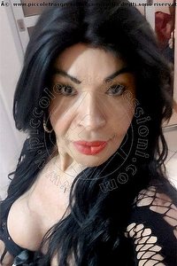 Foto selfie trans escort Tainá Oliveira Prato 3285382487