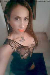 Foto selfie trans escort Leyla Parma 3383398084