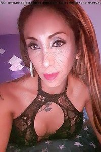 Foto selfie trans escort Leyla Parma 3383398084