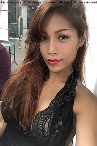 Foto selfie trans escort Liisa Orientale Asiatica Ladyboy Tropea 3489026722