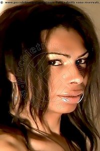 Foto selfie trans escort Cassia Rimini 3392312178