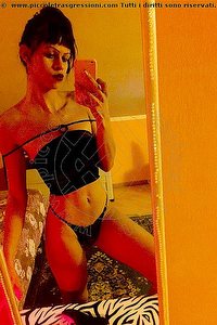 Foto selfie trans escort Stella Udine 3509422249