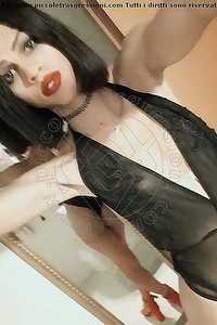 Foto selfie trans escort Stella Udine 3509422249