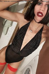 Foto selfie trans escort Stella Udine 3509422249