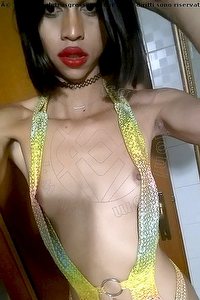 Foto selfie trans escort Stella Udine 3509422249