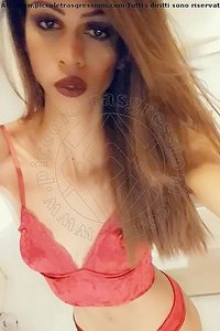 Foto selfie trans escort Stella Udine 3509422249