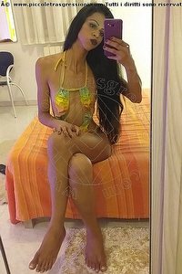 Foto selfie trans escort Stella Udine 3509422249