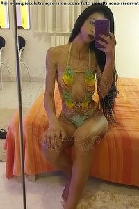 Foto selfie trans escort Stella Udine 3509422249