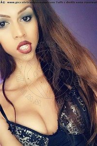 Foto selfie trans escort Stella Udine 3509422249