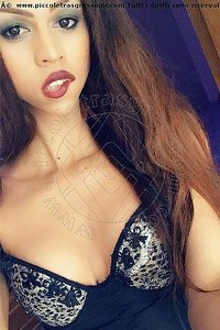 Foto selfie trans escort Stella Udine 3509422249