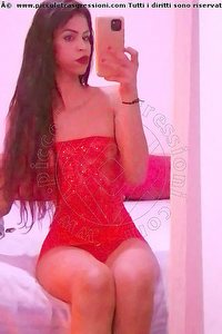 Foto selfie trans escort Stella Udine 3509422249