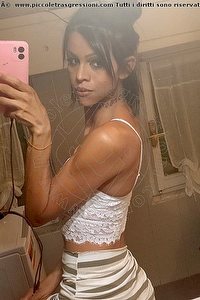 Foto selfie trans escort Stella Udine 3509422249