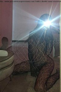 Foto selfie trans escort Federica Italiana Prato 3500397244