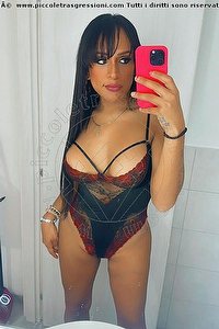 Foto selfie trans escort Viviana Desenzano Del Garda 3881530590