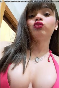 Foto selfie trans escort Gabriella Andrade Trento 3280050444