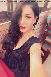 Foto selfie trans escort Geisha Vip Kyrenia 00905338300938