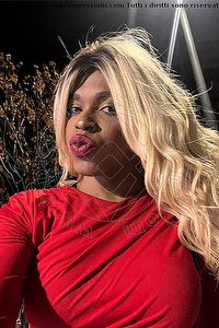 Foto selfie trav escort Livia Marine La Spezia 3341404929