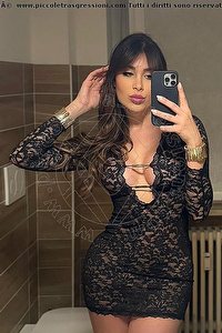 Foto selfie trans escort Safina Vicenza 3342585465